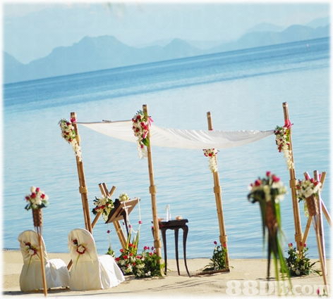 2020年香港婚礼鲜花价格与商户资讯指南