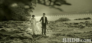 定格永恒瞬间 婚纱摄影与婚礼影像服务的全方位指南