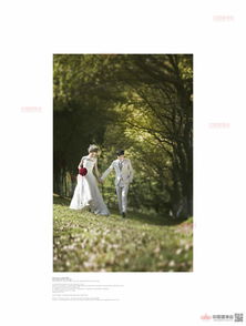 专业与贴心并存 上海蔚蓝海岸婚纱摄影的难忘体验